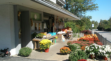 Experience Ladue